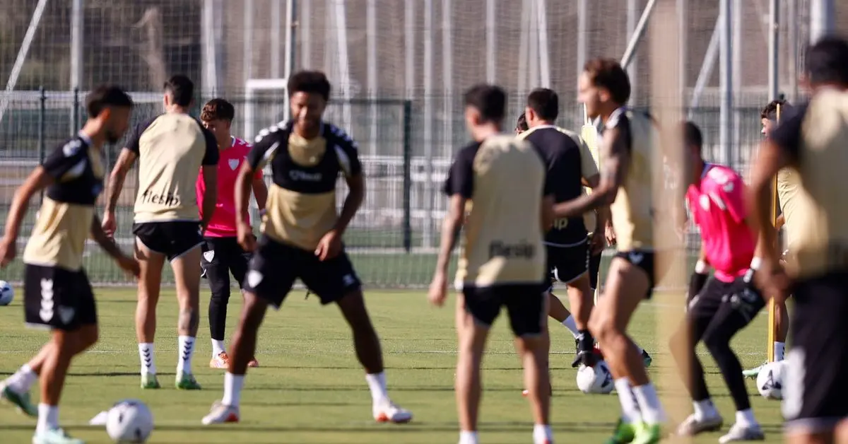 Cajuste vuelve a la convocatoria del Málaga para el duelo ante la Real