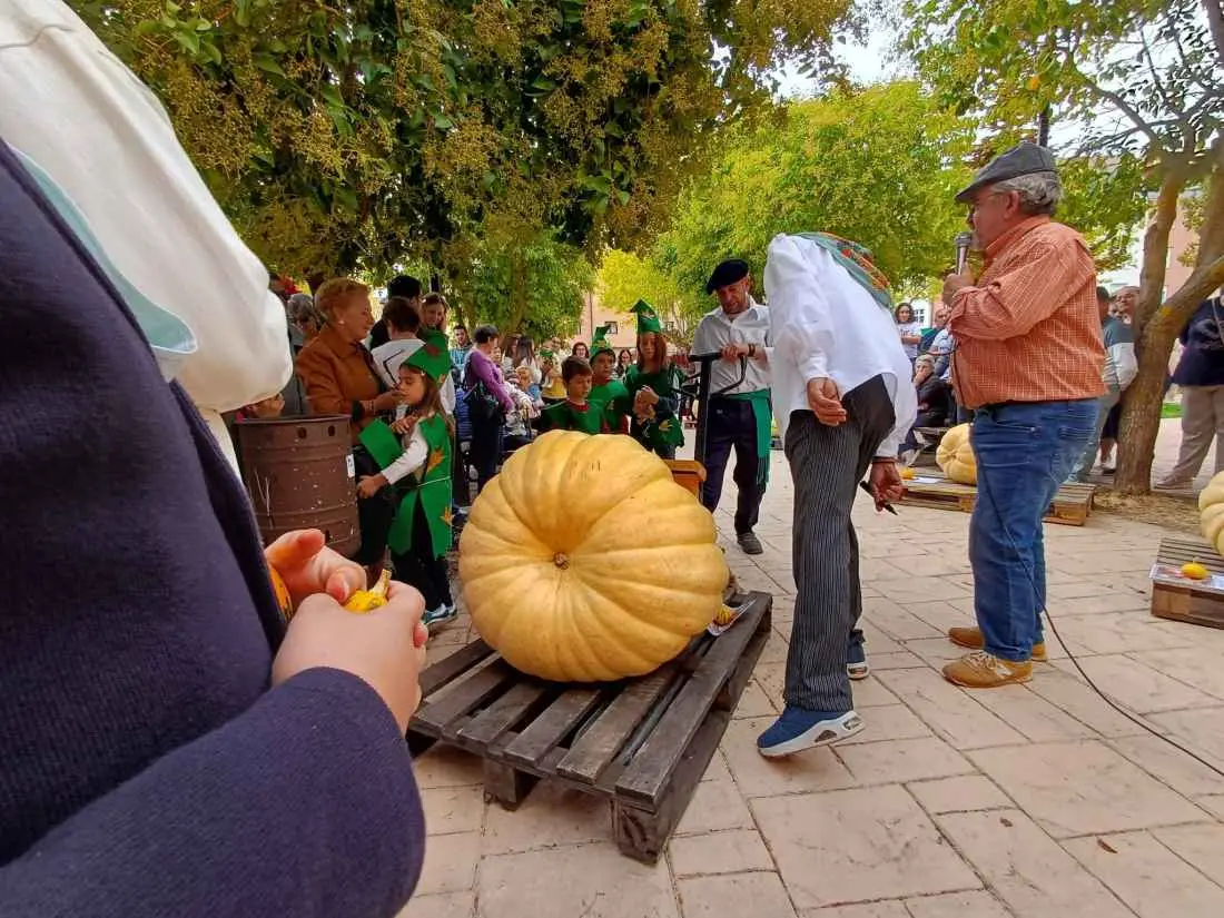 San Esteban prepara una nueva edición de su concurso de calabazas