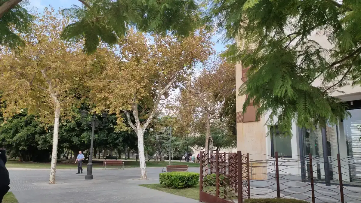 Grazalema afronta el domingo con aviso naranja por lluvias y tormentas