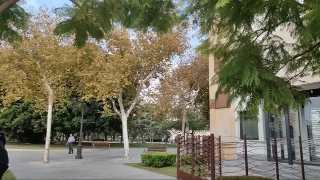 Grazalema afronta el domingo con aviso naranja por lluvias y tormentas