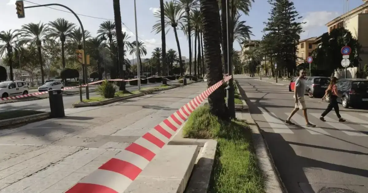 Dos parques de Palma permanecen cerrados por las condiciones meteorológicas