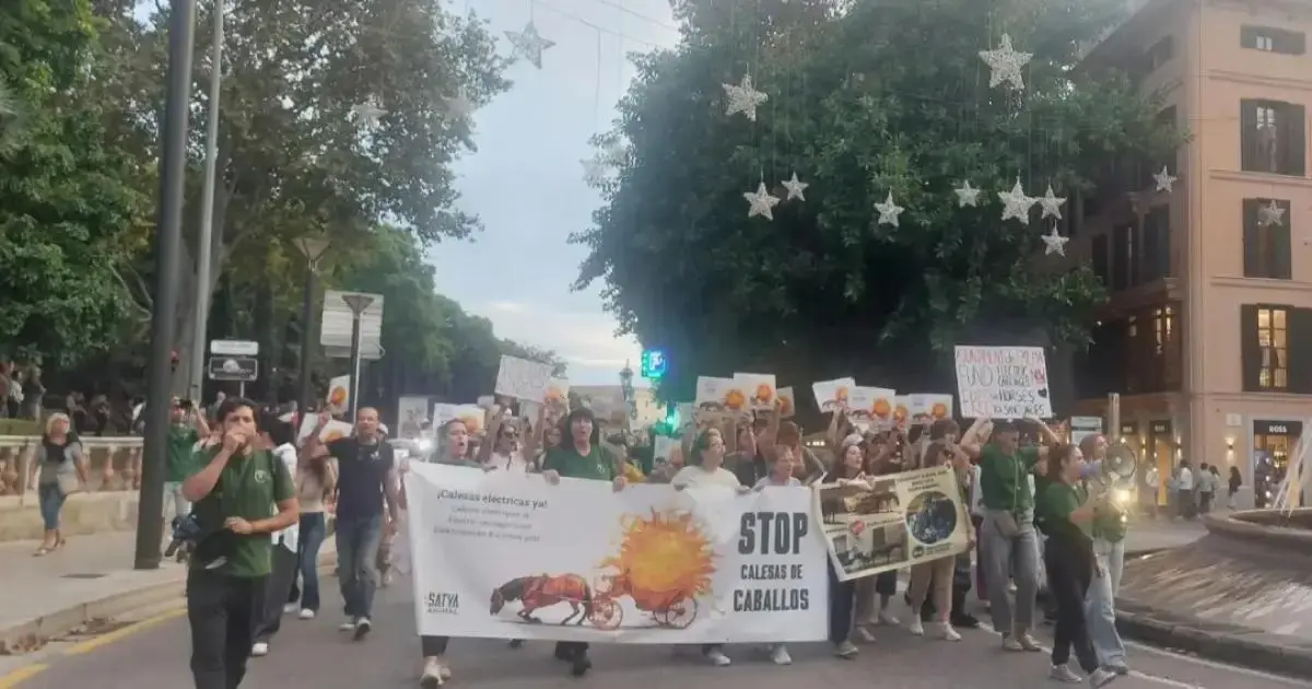 Unas 200 personas piden en Palma reemplazar las galeras de caballos por vehículos eléctricos