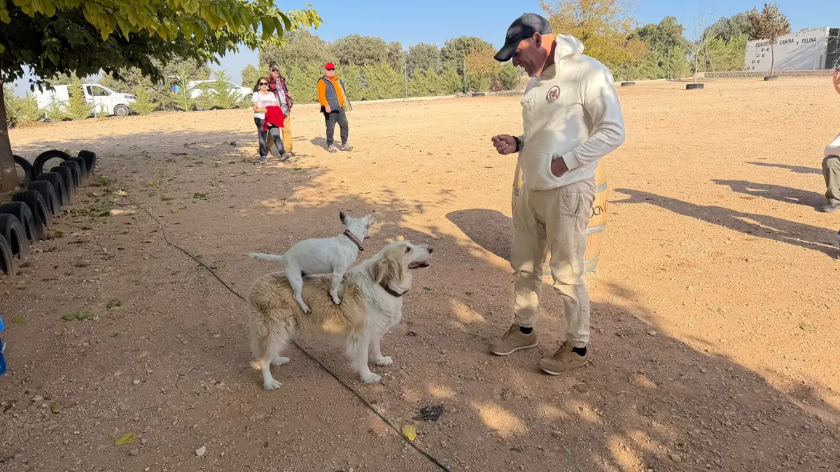 Villarrobledo acoge una prueba canina con participantes de distintos puntos de España