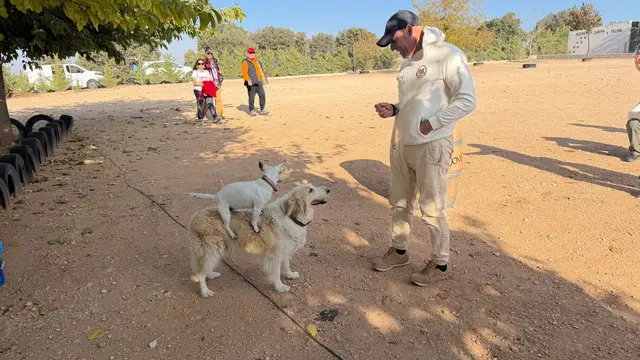 Villarrobledo acoge una prueba canina con participantes de distintos puntos de España