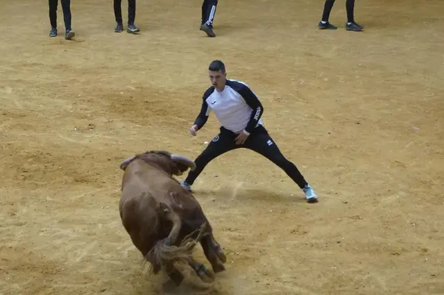 Encierro y capea en Alba de Tormes concluyen sin heridos