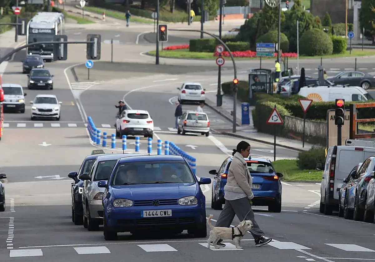 Oviedo intensifica la prevención tras contabilizar 104 atropellos en 2025