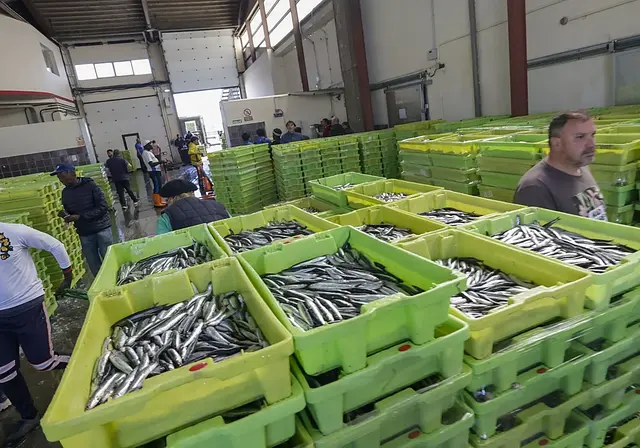 La venta de bocarte y bonito supera los 19 millones en la rula gijonesa