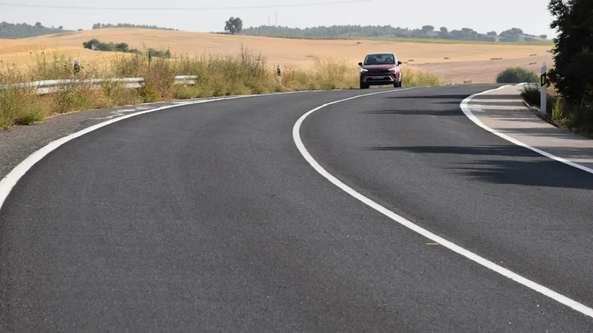 Un pino obliga a cerrar el carril derecho de la N-420 en Pajaroncillo