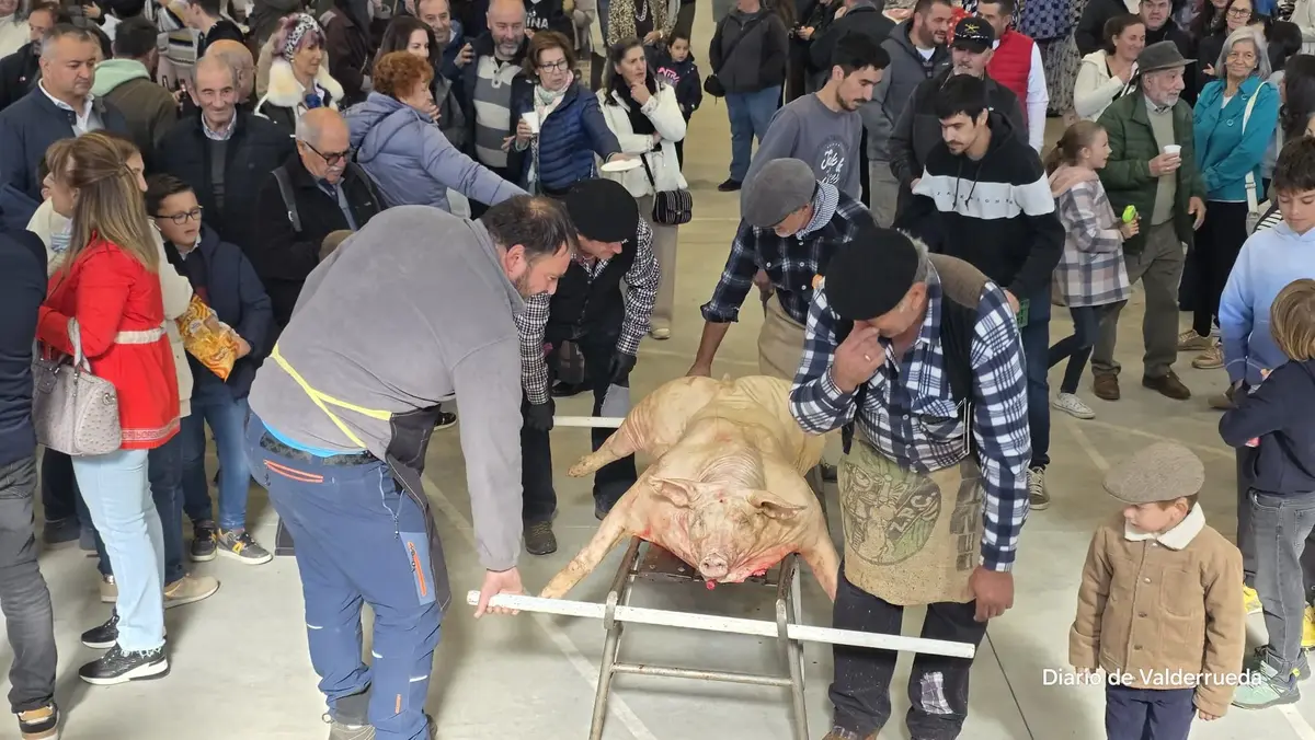 La feria de Puente Almuhey concluye con buena respuesta y arraigo tradicional