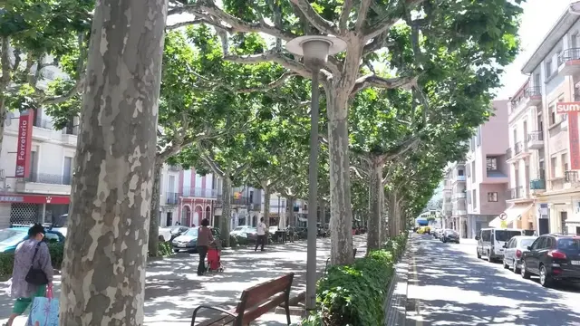 Tremp estudia cómo poner en uso sus locales comerciales vacíos