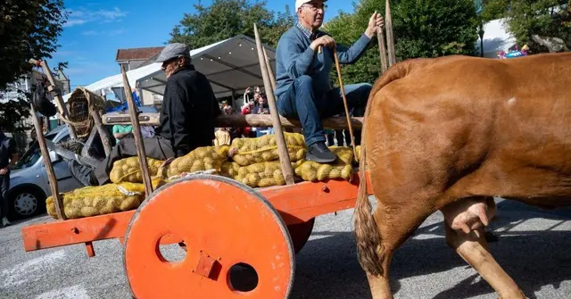 Vilar de Barrio reivindica su identidad rural con la Festa da Pataca
