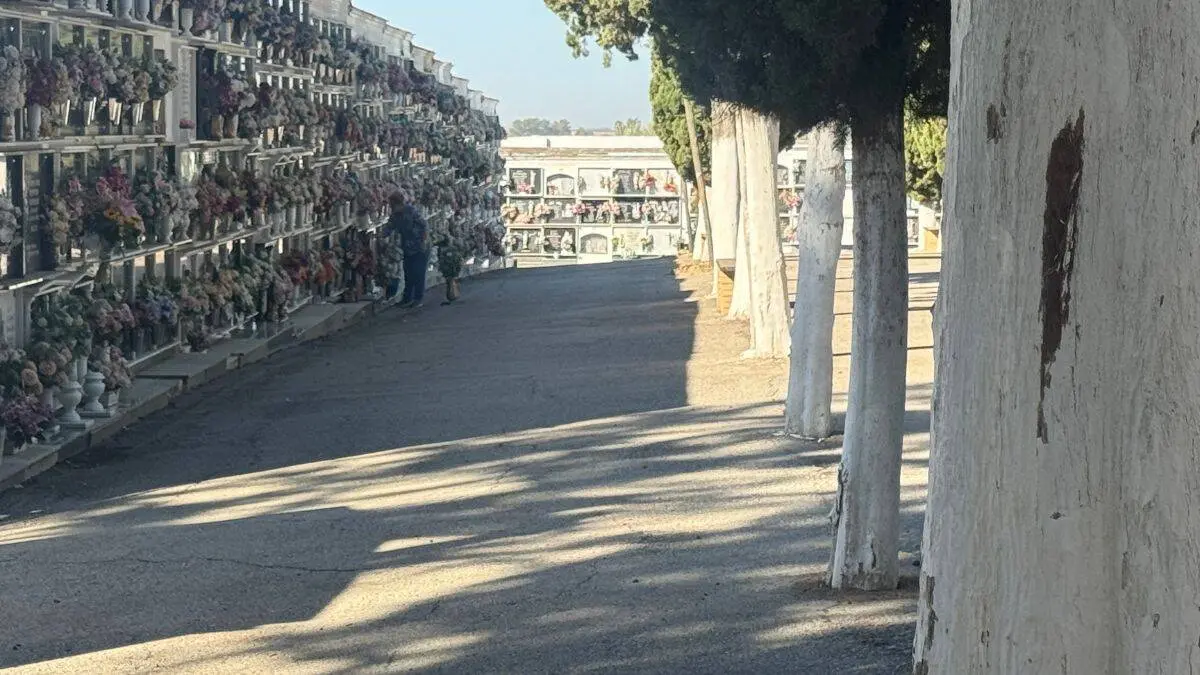 El cementerio de Arahal, una ciudad de avenidas y memoria familiar