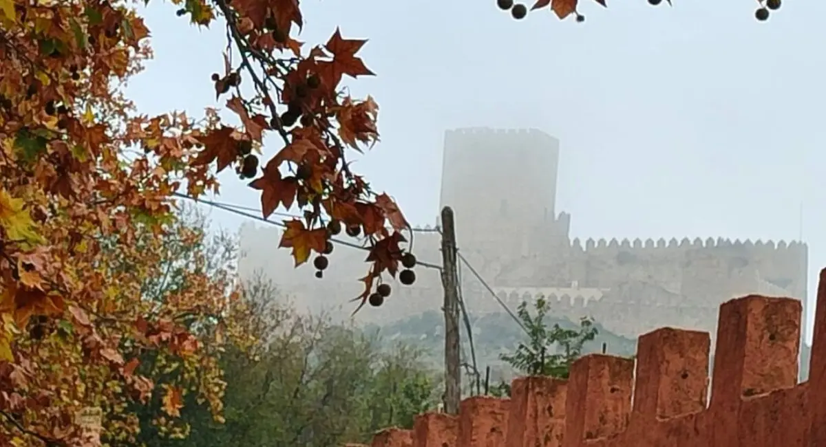 Almansa afronta una semana fría tras las lluvias previstas para el lunes