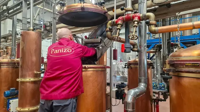 Orujos Panizo inicia la destilación con una previsión de 225.000 litros de aguardiente