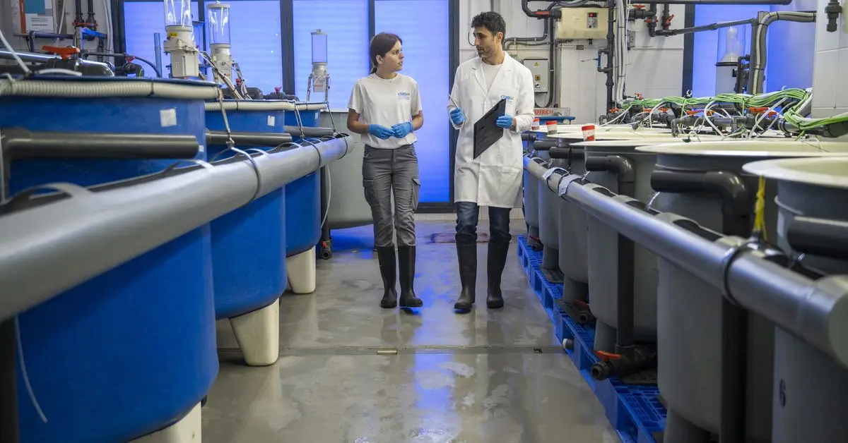 El centro de fabricación avanzada de Puerto Real se beneficiará de nuevos incentivos