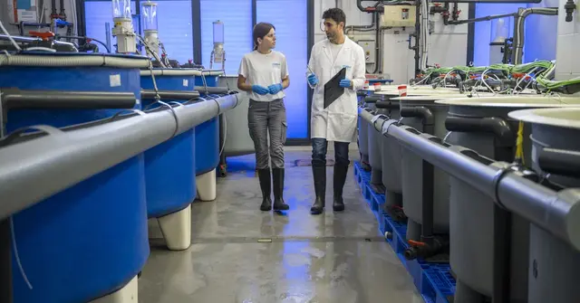 El centro de fabricación avanzada de Puerto Real se beneficiará de nuevos incentivos