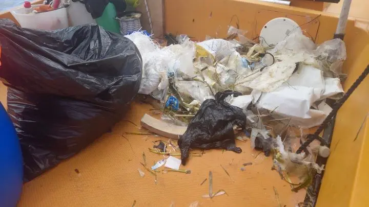 La limpieza del litoral balear recogió 5.345 kilos de residuos en septiembre