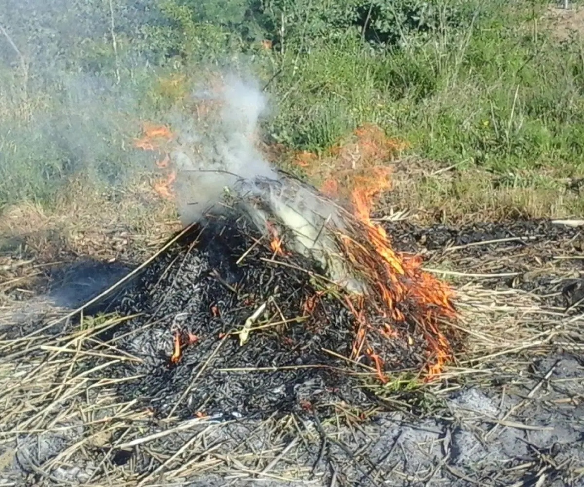 Siurana abre el periodo para comunicar quemas con riesgo de incendio forestal
