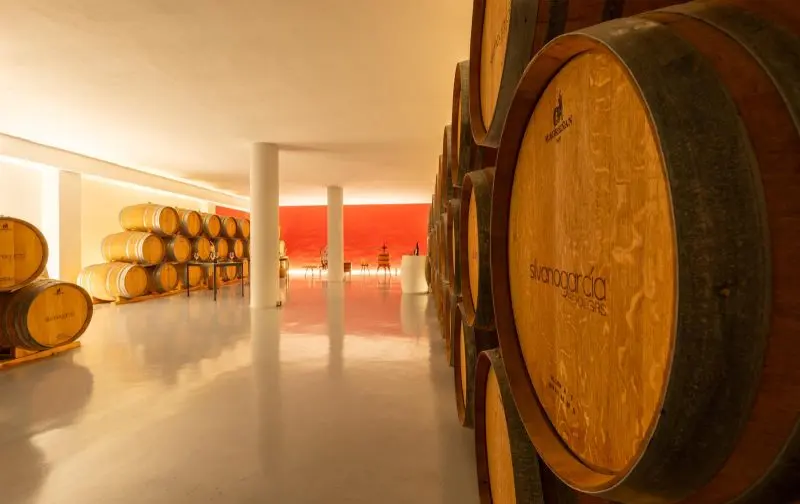 La Región reserva 500.000 euros para crear alojamientos en bodegas