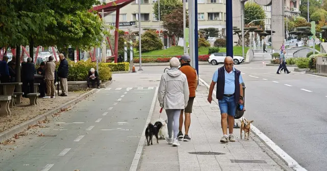 Vigo suma 63.000 mascotas tras crecer en 42.000 en una década