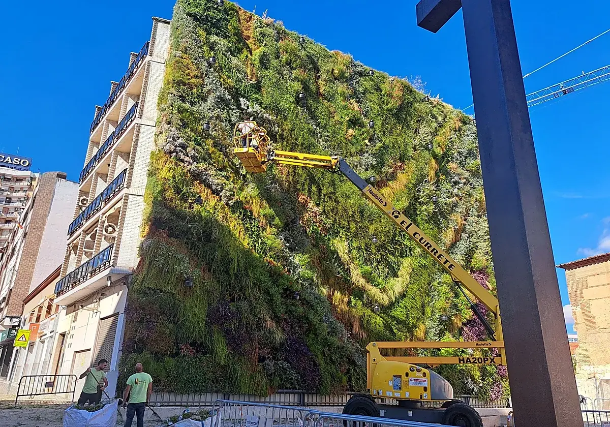 Mérida poda su jardín vertical con la llegada del otoño