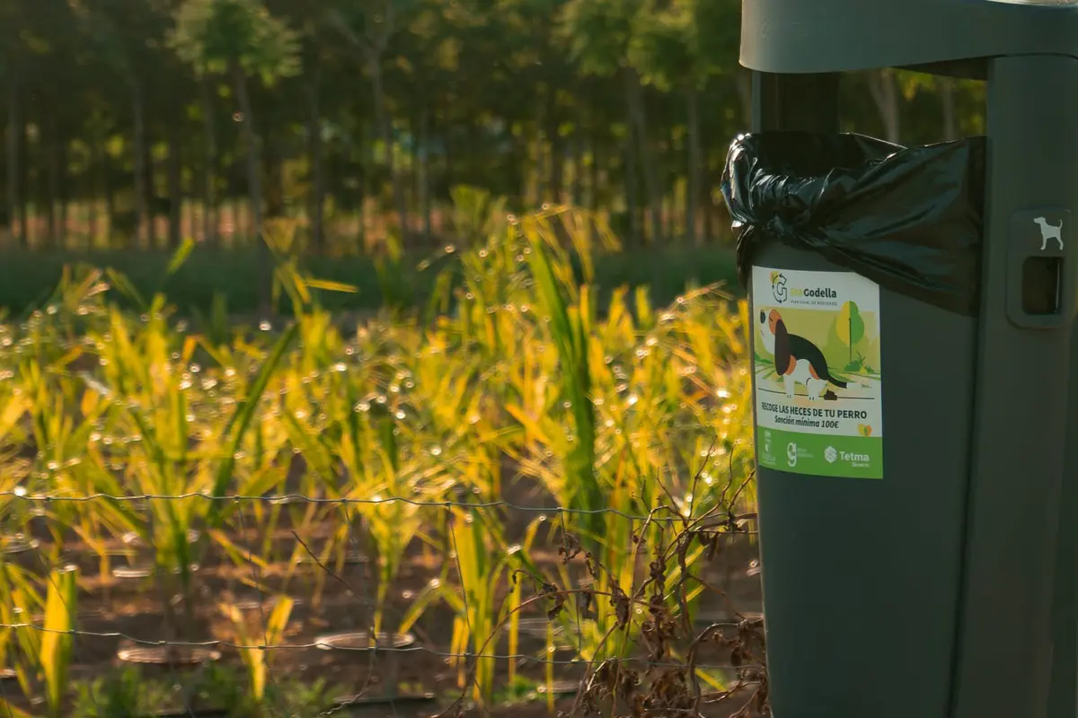 Godella impulsa una campaña para divulgar las normas de bienestar animal