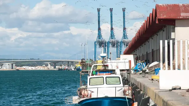 La lonja pesquera del puerto de Algeciras, a concurso por 330.324 euros