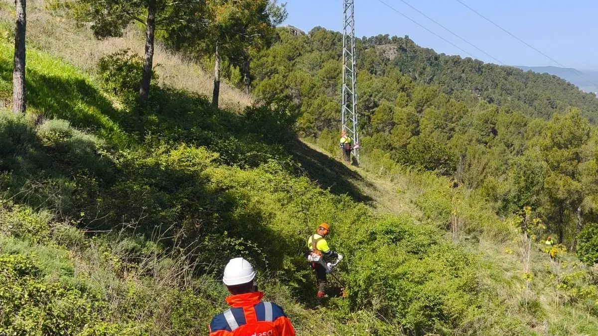 Endesa prevé podar y talar vegetación junto a más de 7.000 kilómetros de líneas en Jaén