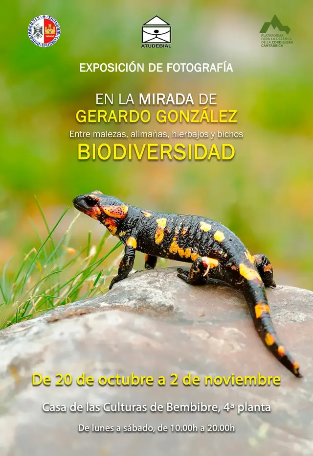La fotografía de naturaleza de Gerardo González llega a la Casa de las Culturas