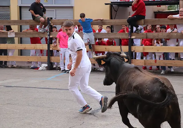 Teodoro Vergara y la vaca Pepi, reconocidos en los premios de fiestas de Arnedo