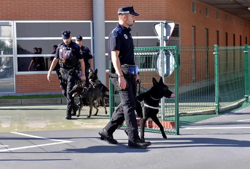 Valdemoro suma equipos caninos a los recursos de su Policía Local