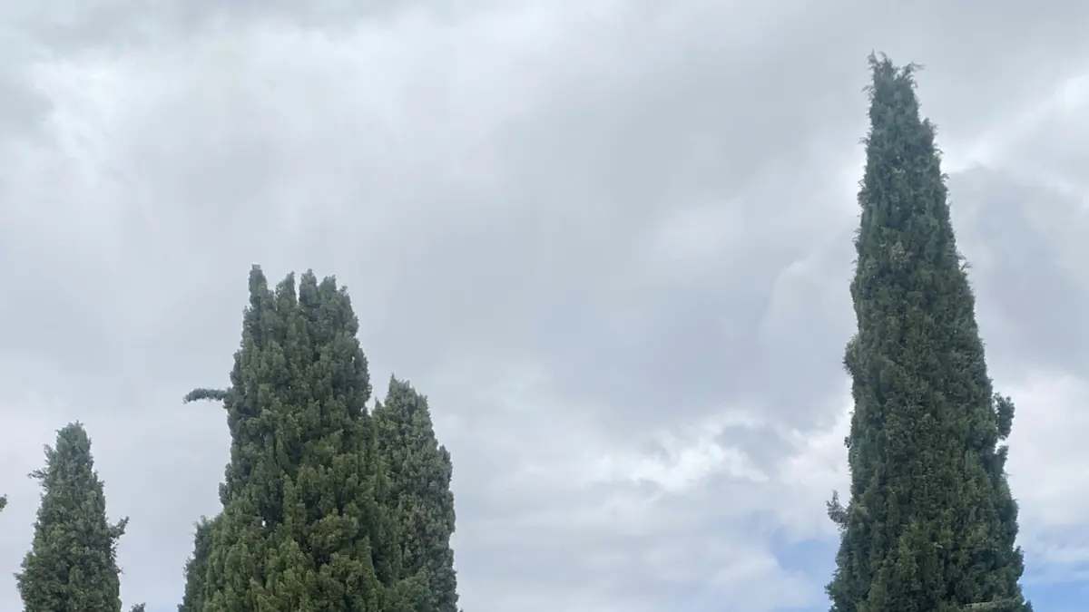 El cementerio de Guadix abrirá más horas durante la celebración de Todos los Santos