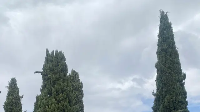 El cementerio de Guadix abrirá más horas durante la celebración de Todos los Santos