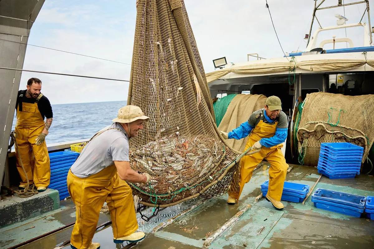 Roses reunirá a especialistas mediterráneos para impulsar el aprovechamiento pesquero