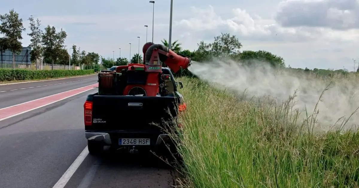 Sagunt refuerza el control de mosquitos tras las lluvias
