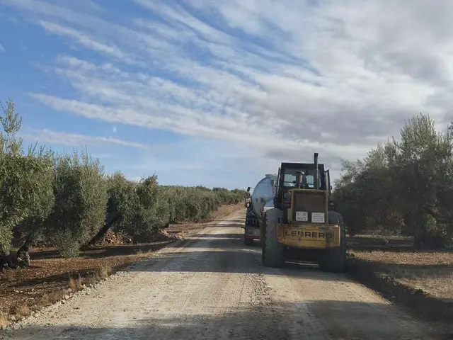 Baena prevé acondicionar unos 35 kilómetros de caminos rurales