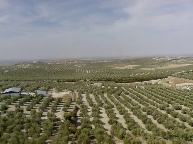 Estepa somete a trámite la expropiación de 14 fincas para una tubería de agua