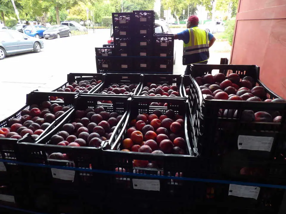 El Banco de Alimentos de Córdoba supera los 1,08 millones de kilos
