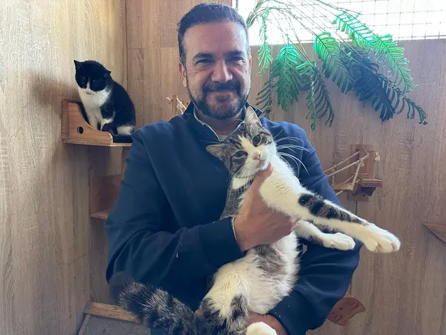 Fuengirola mantiene las adopciones de mascotas sin coste para personas empadronadas