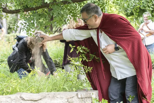 Terrassa celebra la cultura popular en torno al ginjoler