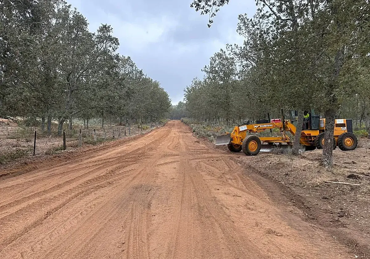 Navasfrías reserva 16.000 euros para actuar en caminos del monte público