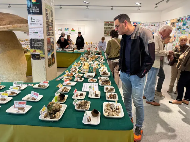 Binéfar muestra 224 especies de hongos en sus jornadas micológicas