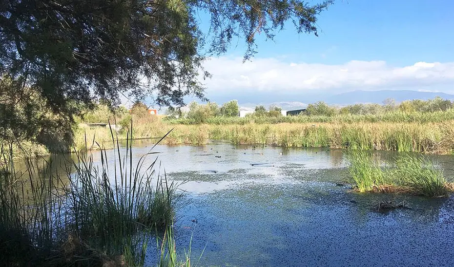 La Charca de Suárez entra en la Red Natura 2000 como espacio protegido para las aves