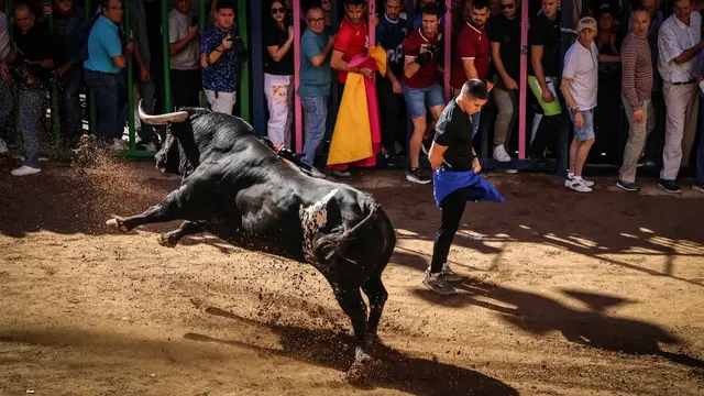 Rumba, toros y propuestas familiares marcan el miércoles de la Fira de Onda
