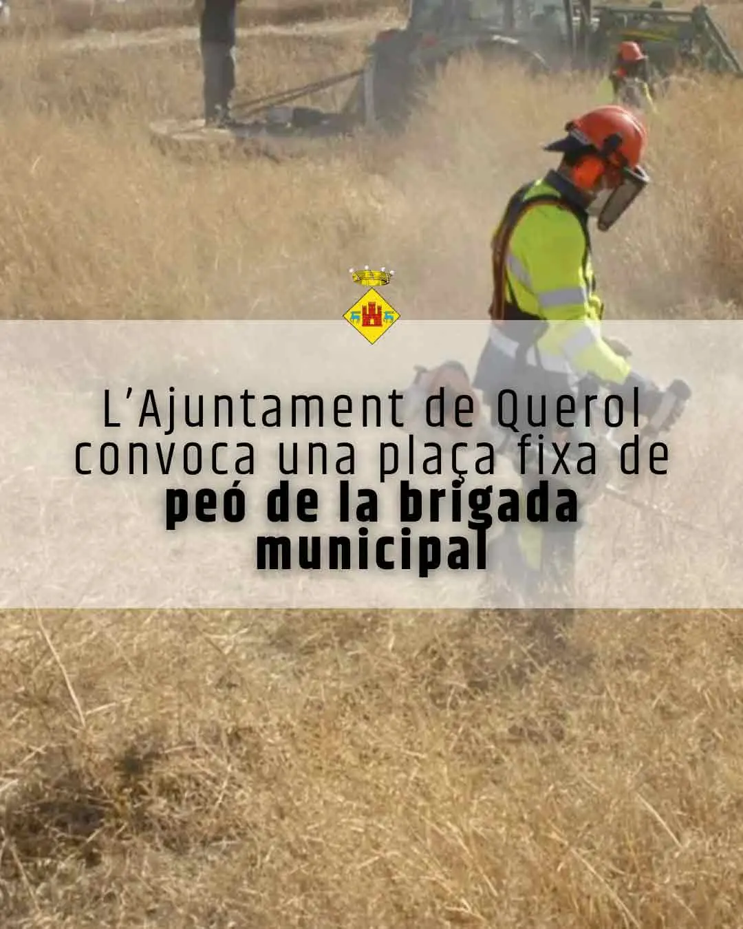 Querol abre una plaza fija para trabajar en la brigada municipal