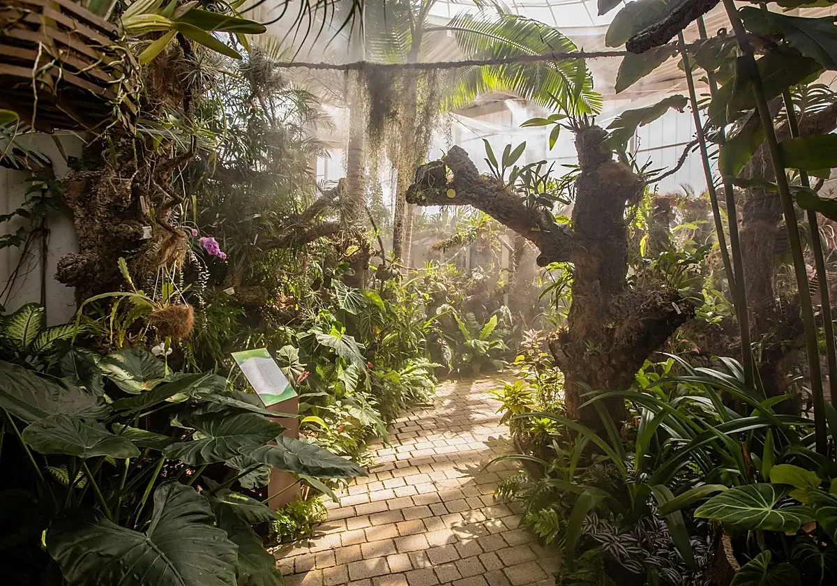 El Orquidario estrenará una experiencia sonora inspirada en sus plantas