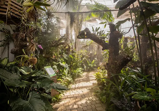 El Orquidario estrenará una experiencia sonora inspirada en sus plantas
