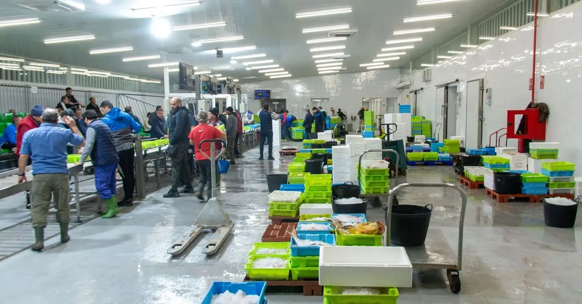 La pesca de Motril aborda sus retos económicos y de sostenibilidad