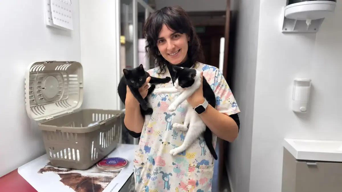 Una clínica veterinaria móvil acerca la atención a las mascotas de la Ribera del Ebro