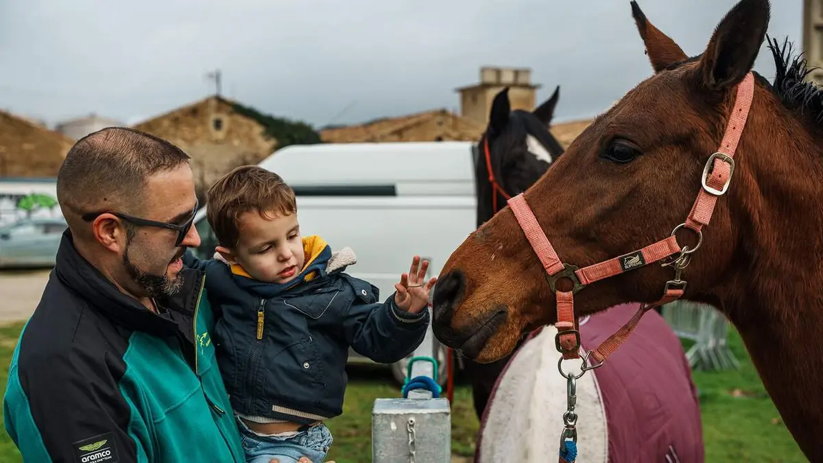 Tafalla prepara tres jornadas de feria con ganado, artesanía y gigantes